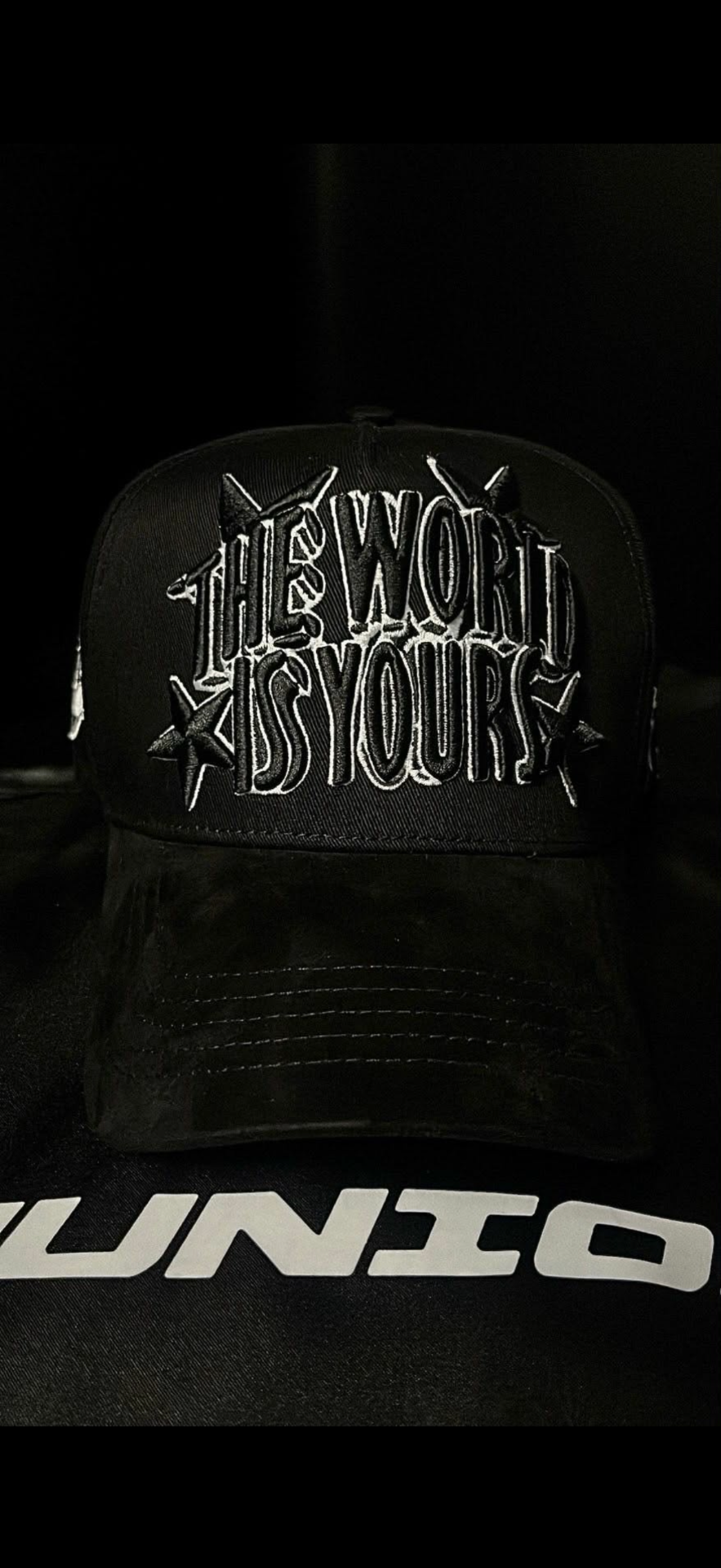 The World Is Yours front
