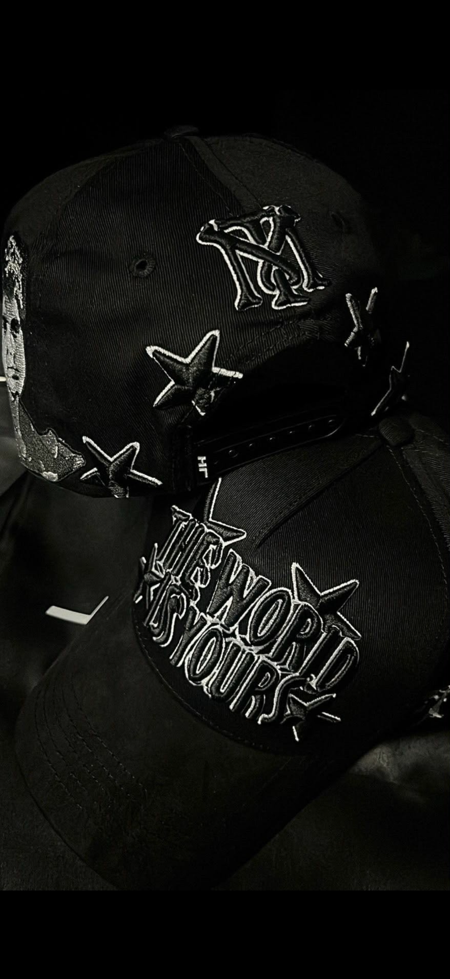 The World Is Yours stars detail